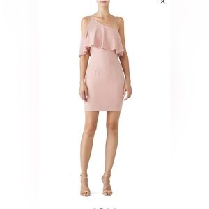 NWT Dress the Population Dress